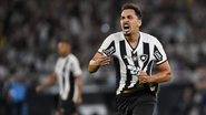 Reprodução / Botafogo