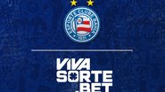 Divulgação / EC Bahia