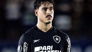 Divulgação/Botafogo 