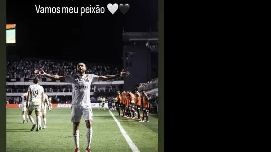 Divulgação 
