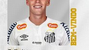 Divulgação/Santos