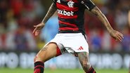 Divulgação/Flamengo 
