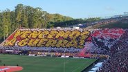 Reprodução / EC Vitória 