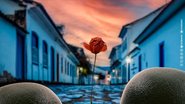 Reprodução/X