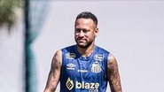 Raul Baretta / Santos FC