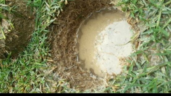 Imagem Alagamento e confusão marcam reinauguração do Mineirão