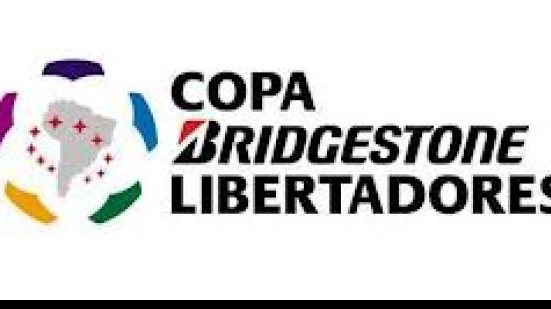 Imagem Vídeo: Luxemburgo é agredido em partida da Libertadores