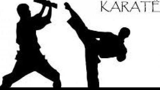 Imagem Garoto de 16 anos é convocado para seleção nacional de Karate