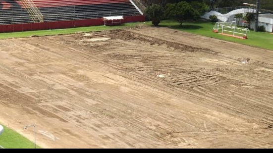 Imagem  Sócios do Vitória podem comprar kit com gramado antigo do Barradão