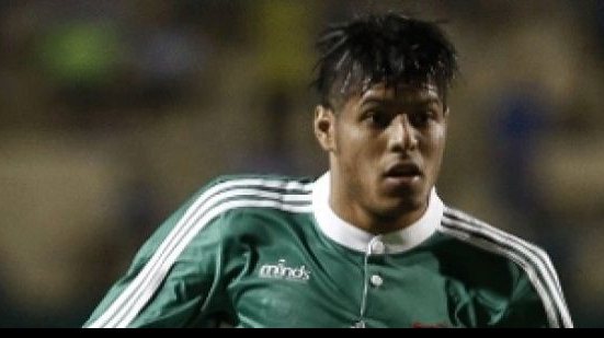 Imagem Com doze desfalques, Palmeiras pode ter retorno de dupla contra Vitória