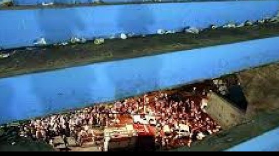 Imagem Tragédia da Fonte Nova completa sete anos nesta terça-feira