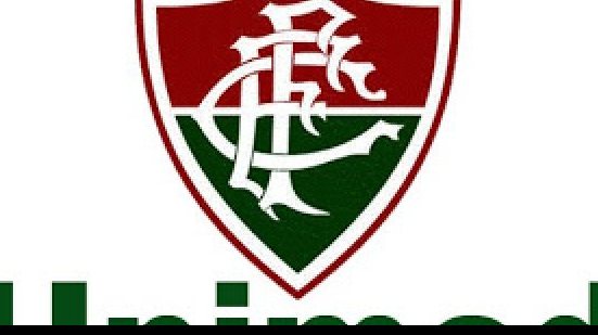 Imagem Palmeiras pode herdar craques do Fluminense por conta de patrocinador