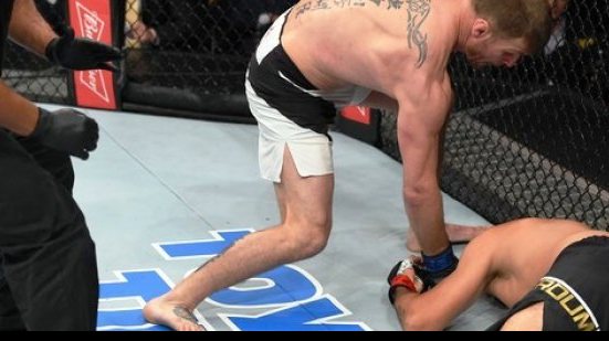 Imagem UFC: Cyborg tem estreia perfeita, Belfort é atropelado e Werdum perde título