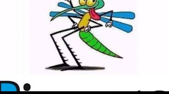 Imagem Probabilidade de turista pegar dengue na Olimpíada é de menos de 1 em 500 mil