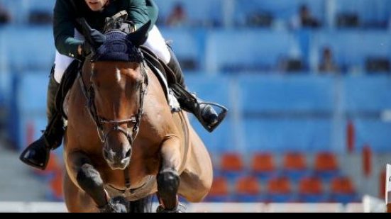 Imagem Hipismo: faltas e desqualificação complicam equipe brasileira de saltos na final