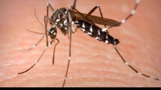 Imagem Não houve relatos de zika entre participantes da Olimpíada do Rio, diz OMS