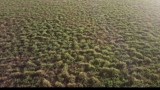Imagem Após problemas no Eliel Martins, FBF muda mando de campo do Jacuipense para Pituaçu