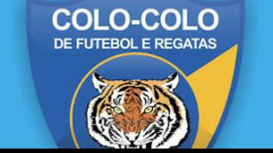 Imagem Vivendo crise financeira, Colo Colo divulga comunicado pedindo ajuda da torcida