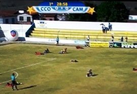 Imagem Ataque de abelhas interrompe partida do Intermunicipal em Coité