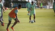 Rafael Bressan/Chapecoense