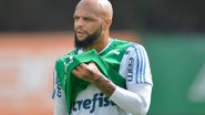 Divulgação / Palmeiras