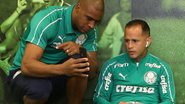 Agência Palmeiras