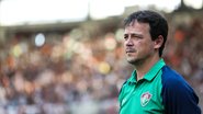 Lucas Merçon/Fluminense