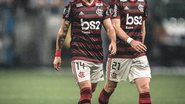  Pedro Martins / Azeite Royal