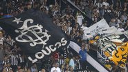 Divulgação / Botafogo