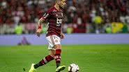 Alexandre Vidal / Flamengo