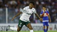 Cesar Greco / Palmeiras