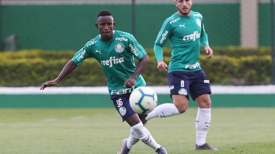 Cesar Greco/Palmeiras