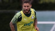 Cesar Greco/Palmeiras