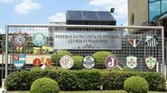 Divulgação / FPF
