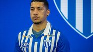 Avaí Futebol Clube