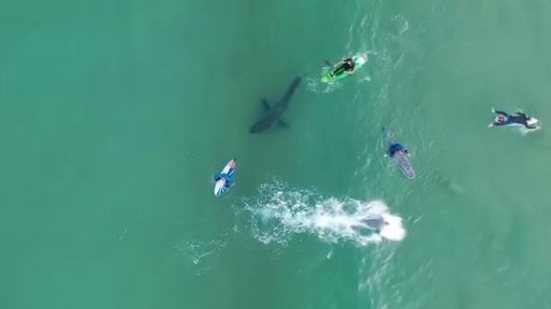  Zachary Berman (Imagens de drone)
