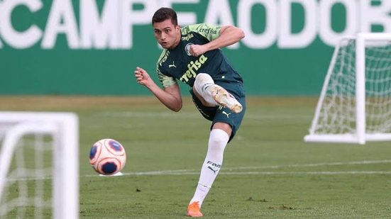 Divulgação/Palmeiras 