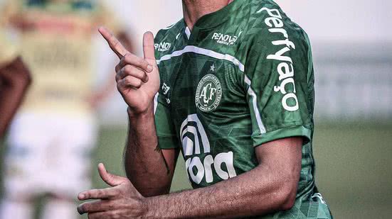 Divulgação