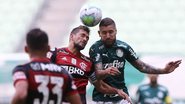 Cesar Greco / Palmeiras
