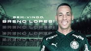 Divulgação / Palmeiras
