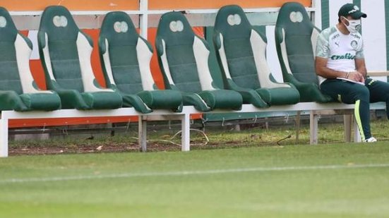 Cesar Greco/Palmeiras