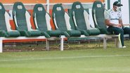 Cesar Greco/Palmeiras