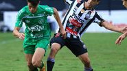 Divulgação / ACF