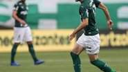 Fábio Menotti / Palmeiras