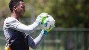 Divulgação / Sport