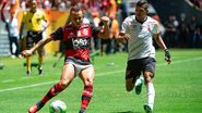 Alexandre Vidal/Flamengo