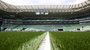 Fábio Menotti / Agência Palmeiras