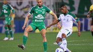 Márcio Cunha / ACF